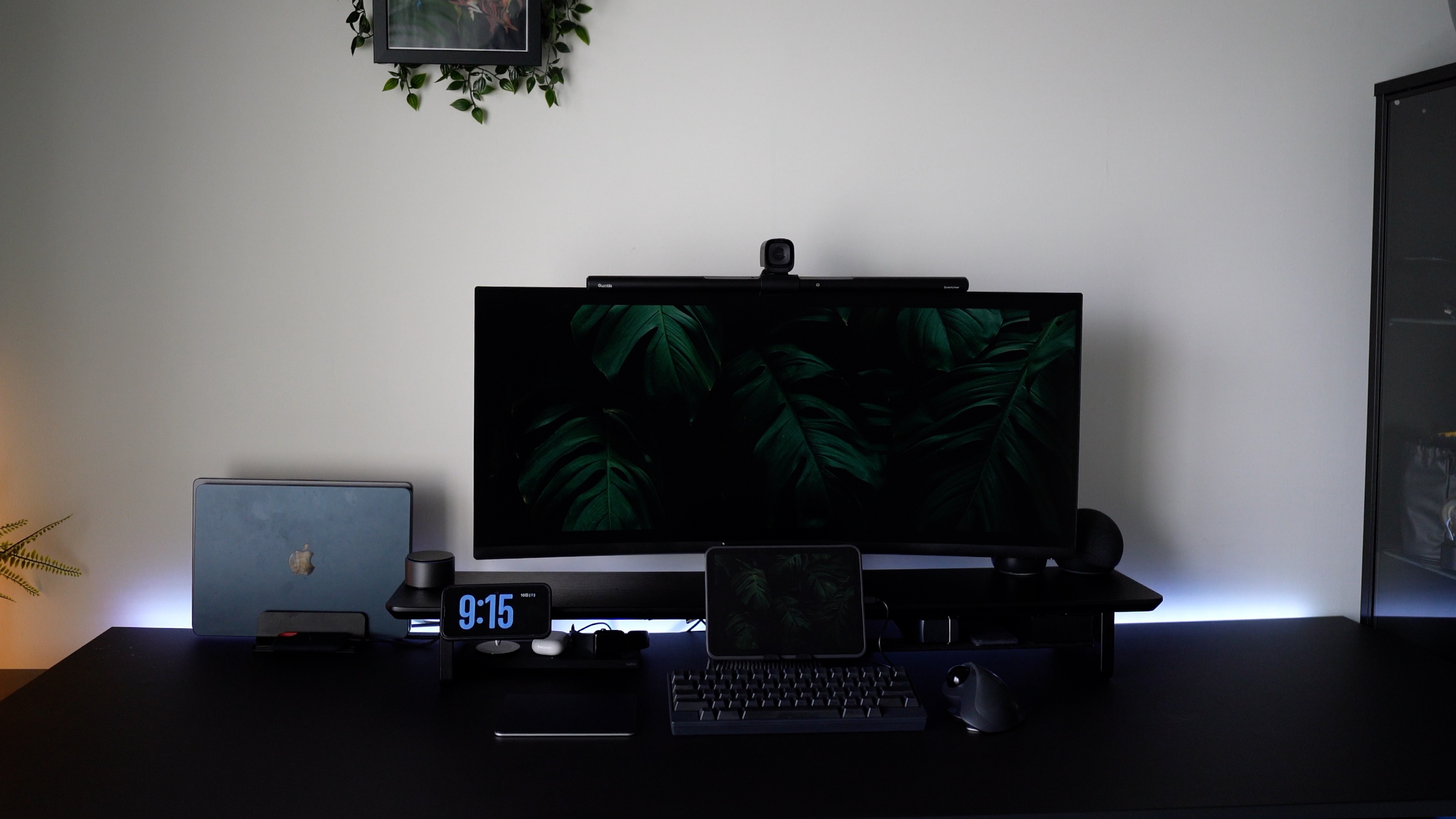 Dell Monitor